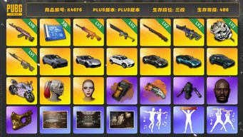绝地求生（PUBG）[K4676]三段486级  信誉3  8火麒麟  3南瓜  2沙悟净  2孙悟空  2霓虹  1齿轮大炮  2白虎锅  烟枪烟弹  3图纸  卡宴  911  兰博suv  三马丁  悲喜  丑女小马尾  马东锡  黑鬼  金面  女团minji