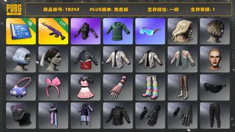 绝地求生（PUBG）[TB243]1段1级（免费版）美杜莎762 发光手臂 小绿东 星魂虎虎生威大礼包