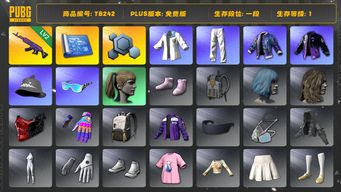 绝地求生（PUBG）[TB242]1段1级（免费版）小马尾 美杜莎762 aespa女团 星魂虎虎生威大礼包 小叮当套装