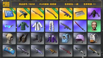 绝地求生（PUBG）[TB246]1段11级（免费版）夜曲M24 美杜莎762 发光手臂 丸子头 小绿东 烈日灼烧S1897 寒蚀MP5K aespa女团 星魂虎虎生威大礼包