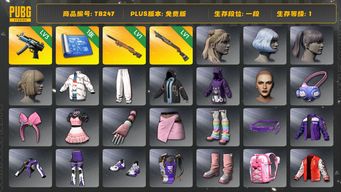 绝地求生（PUBG）[TB247]1段1级（免费版）夜曲M24 烈日灼烧S1897 寒蚀MP5K