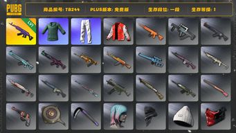 绝地求生（PUBG）[TB244] 1段1级（免费版）美杜莎762 小绿东 星魂虎虎生威大礼包