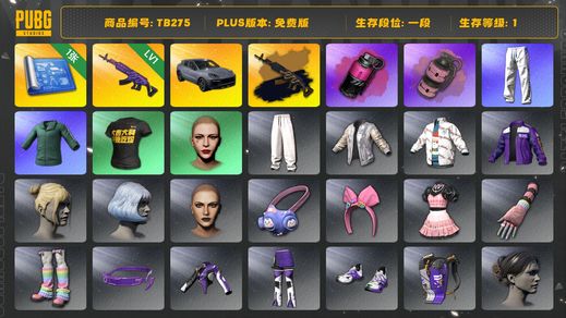 绝地求生（PUBG）[TB275]1段1级（免费版）1级美杜莎762,美杜莎金属深灰,美杜莎762异色,保时捷卡宴,保时捷,粉色烟雾弹,品红色烟雾弹,烟雾弹,星魂虎虎生威大礼包,小绿东,丸子头