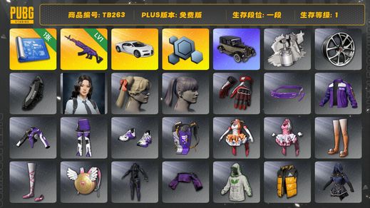 绝地求生（PUBG）[TB263]1段1级（免费版）1级美杜莎762,布加迪威龙,布加迪普通跑车