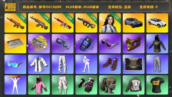 绝地求生（PUBG）编号CC15269 五段 4级火麒麟 5级朱雀M4 金面 滑雪镜 小马尾 烟雾弹 烟枪 兰博基尼 4级无信号M416 染血裤 10级弥诺陶洛斯AUG 1级瀚娜 蓝色烟雾弹 黄色狂怒之雾 - M79 兰博SUV Pigff套装 紫色魔法迷雾 - M79 星魂虎虎生威大礼包 保时捷 保时捷卡宴...