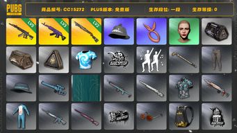 绝地求生（PUBG）CC15272 一段 丸子头 3级美杜莎762 5级妖魔ACE 2级烈日灼烧S1897...