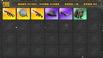 绝地求生（PUBG）[CC15275]CC15275/可排位/1段/304级/胜利密室/5张图纸/卡宴/6级美杜莎/2级塞壬平底锅/1级弥诺陶洛斯AUG/拉风龙套装/粉战神/滑雪镜/滑雪帽/双马尾/渔夫帽