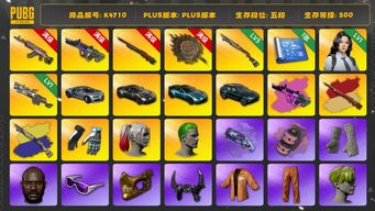 绝地求生（PUBG）[K4710]五段500级  信誉3  10级火麒麟  10级霓虹+异色  10级孙悟空+异色  3级唐三藏  3级烈日+异色  1级大菠萝  烟枪烟弹  1图纸  豪华布加迪  三马丁  瀚娜  大魔王  橙运动  小战神  绿东  竞猜裤  虎牙夹克  丑男丑女  小绿头  粉头  小马尾  丸子头  权志龙  黑鬼  金面 滑雪镜  牛角  马丁渔夫帽