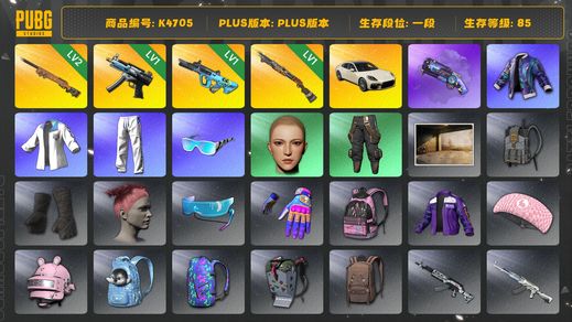 绝地求生（PUBG）[K4705]1段85级 信誉2 2级夜曲 1级寒蚀 1级权志龙 1几级烈日喷 烟枪 帕拉梅拉 星魂白