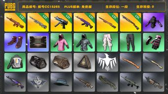 绝地求生（PUBG）编号CC15265 一段 2级朱雀M4 1级美杜莎762 发光手臂 小叮当套装 小战神 1级烈日灼烧S1897 1级夜曲M24 1级寒蚀MP5K 1级幽影残魂AWM...
