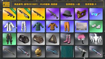 绝地求生（PUBG）编号CC15271 一段 1级赛博MK12 金面 拉风龙套装 5级美杜莎762 冬季藏匿处 黄东 小绿东 小叮当套装 星魂虎虎生威大礼包...
