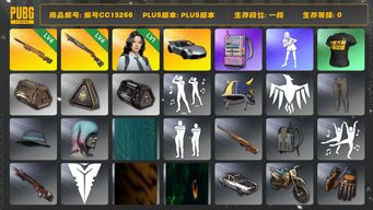 绝地求生（PUBG）编号CC15266 一段 电磁包 1级瀚娜 4级烈日灼烧S1897 4级夜曲M24 保时捷 保时捷911...