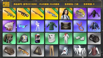 绝地求生（PUBG）编号CC15262 二段 5级水麒麟 小马尾 烟枪 2级弥诺陶洛斯AUG 2级魔咒MK12 发光手臂 1级瀚娜 小绿东 黄色狂怒之雾 - M79 星魂虎虎生威大礼包 2级夜曲M24...