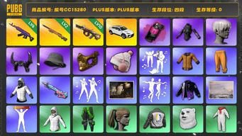绝地求生（PUBG）编号CC15280 四段 金面 小马尾 尼尔大礼包 烟雾弹 兰博基尼 拉风龙套装 牛角 6级美杜莎762 10级弥诺陶洛斯AUG 冬季藏匿处 白战神 黄东 发光手臂 小叮当套装 品红色烟雾弹 兰博SUV Pigff套装 2级夜曲M24 9S...