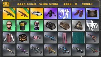 绝地求生（PUBG）CC15286 一段 5级青龙762 丸子头 2级圣诞AK 发光手臂 布加迪威龙 布加迪普通跑车...
