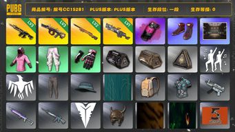 绝地求生（PUBG）编号CC15281 一段 烟雾弹 3级猪八戒M416 1级刻耳柏洛斯M249 3级弥诺陶洛斯AUG 品红色烟雾弹 2级夜曲M24...