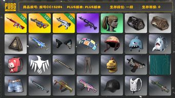 绝地求生（PUBG）编号CC15284 一段 小马尾 2级爆裂弹球AUG 5级无信号M416 1级无重力MP5K 阿狸大礼包...