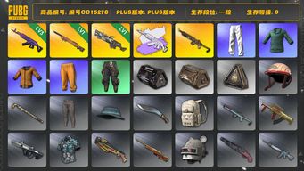 绝地求生（PUBG）编号CC15278 一段 拉风龙套装 1级刻耳柏洛斯M249 3级美杜莎762 黄东 美杜莎762异色 小绿东 星魂虎虎生威大礼包 1级夜曲M24 美杜莎灰色配紫色...