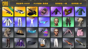 绝地求生（PUBG）[K4720]1段49级 信誉2 1级美杜莎+黑金异色 烟弹 兰博跑车 发光手 绿东 丸子头 金面