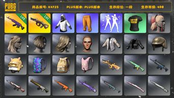 绝地求生（PUBG）[K4725]1段498级  信誉4  5级美杜莎  1级牛头 白战神 