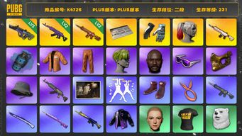 绝地求生（PUBG）[K4726]2段231级 信誉2  3级霓虹 2级美杜莎 2级朱雀 烟弹 大魔王 丑女 小绿头 滑雪镜 金面 渔夫帽 红面 改名卡 黑鬼 极品绝版老枪 
