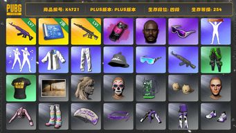 绝地求生（PUBG）[K4721]4段254级 信誉4 7级美杜莎 1级妖魔 烟弹 星魂白 黑鬼 滑雪镜