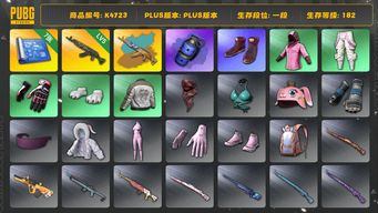 绝地求生（PUBG）[K4723]1段182级  信誉3  5级青龙+异色  烟弹  7图  