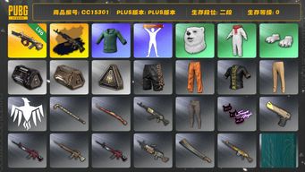 绝地求生（PUBG）CC15301 二段 6级弥诺陶洛斯AUG 美杜莎762异色 小绿东 美杜莎金属深灰...