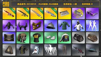 绝地求生（PUBG）CC15310 一段 1级玩偶大炮 金面 滑雪镜 小马尾 烟枪 9级无信号M416 拉风龙套装 牛角 1级魔咒MK12 白战神 发光手臂 小绿东 1级妖魔ACE 黄色狂怒之雾 - M79...