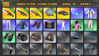绝地求生（PUBG）CC15298 一段 1级刻耳柏洛斯M249 1级塞壬平底锅 4级美杜莎762 1级弥诺陶洛斯AUG 小绿东 布加迪威龙 布加迪奢华跑车 星魂虎虎生威大礼包...
