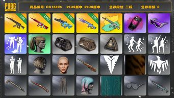 绝地求生（PUBG）CC15304 二段 滑雪镜 小马尾 烟雾弹 10级无信号M416 1级魔咒MK12 9级妖魔ACE 妖魔ACE异色 品红色烟雾弹 1级权志龙AUG...