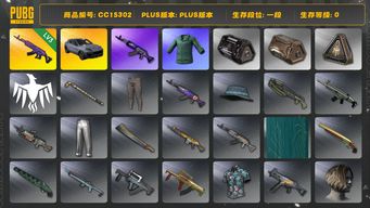 绝地求生（PUBG）CC15302 一段 3级美杜莎762 小绿东 保时捷 保时捷卡宴...