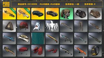 绝地求生（PUBG）CC15305 一段 1级DBS 1级小兔MK12 阿斯顿马丁 小马尾 马丁普通跑车 马丁SUV...