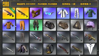 绝地求生（PUBG）CC15303 一段 金面 丸子头 拉风龙套装 6级美杜莎762 黄东 小绿东 小叮当套装 星魂虎虎生威大礼包...