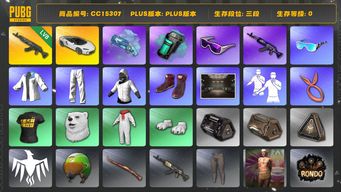 绝地求生（PUBG）CC15307 三段 8级青龙762 迈凯伦 滑雪镜 渔夫帽 烟雾弹 烟枪 白战神 内马尔大礼包 青色烟雾弹 白色迈凯伦 蓝色魔法迷雾 - M79 星魂虎虎生威大礼包...