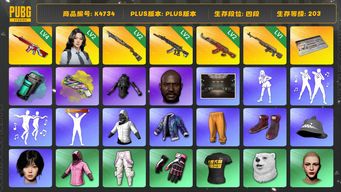 绝地求生（PUBG）[K4734]4段203级 信誉4 2级瀚娜 4级无信号 2级s1897 2级妖魔 2级AK 1级时光 烟弹烟枪 改名卡 黑鬼 丸子头 白战神 发光手 winter