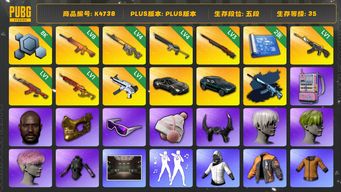 绝地求生（PUBG）[K4738]5段35级 信誉2 8级朱雀 4级齿轮大炮 4级沙悟净 3级孙悟空 1级恶魔+异色 1级ak 1级无重力 2图纸 黑鬼 金面 滑雪镜 牛角 9s 双马丁 