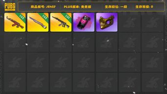 绝地求生（PUBG）圣诞ak，3级，彩虹之上M24。3级，妖魔之触ace1级，红色烟雾弹，金面具