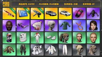 绝地求生（PUBG）[K4733] 三段27级  信誉4  6级无信号  1级寒蚀  烟弹  4图纸  911  兰博suv  绿东  小马尾  丸子头  黑鬼  滑雪镜