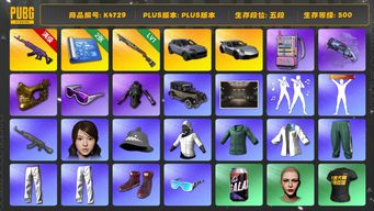 绝地求生（PUBG）[K4729]5段500级 信誉3  10级美杜莎  1级烈日 保时捷卡宴+911 金面 滑雪镜 