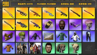 绝地求生（PUBG）[K4735]4段408级 信誉3 9级美杜莎 6级午夜 5级霓虹 3级AK 1级孙悟空 1级s1897 1级魔咒 1级牛头 1级德拉贡 1级恶魔 烟雾弹 小绿头 粉头 黑鬼 金面 滑雪镜 丸子头 小马尾 白熊 老鼠台夹克