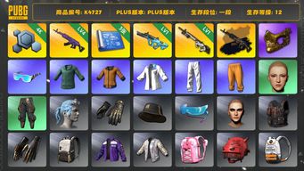 绝地求生（PUBG）[K4727]1段12级  信誉2  4级美杜莎+黑异色  1级权志龙  1级赛博  3图  金面