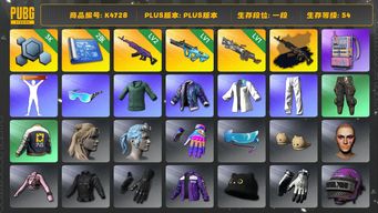 绝地求生（PUBG）[K4728]1段54级  信誉2  2级美杜莎+黑异色  1级权志龙  1级刻耳柏洛斯  2图  电磁包