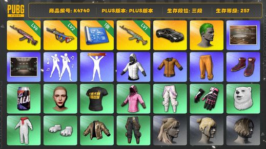 绝地求生（PUBG）[K4740]3段257级 信誉3 6级火麒麟 2级爆裂 1级水麒麟 1图纸 马丁跑车 丑男  