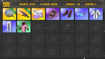 绝地求生（PUBG）美杜莎原皮带白异色，两级塞壬平底锅，粉色烟雾弹，悲喜二代衣服，星魂套装，小红鞋，发型21