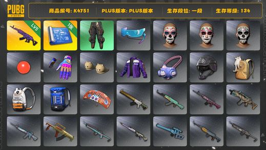 绝地求生（PUBG）[K4751]1段134  信誉1 5级美杜莎 1图纸 