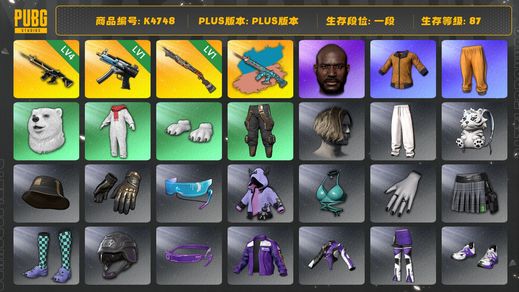 绝地求生（PUBG）[K4748]1段87级 信誉2 4级猪八戒 1级寒蚀 1级s1897 黑鬼 黄东 白熊 