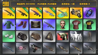绝地求生（PUBG）CC15332 一段 丸子头 烟雾弹 10级猪八戒M416 杜卡迪 西游记套装 1级美杜莎762 1级魔咒MK12 小绿东 3级妖魔ACE 妖魔ACE异色 蓝色烟雾弹 杜卡迪极速金...