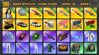 绝地求生（PUBG）编号CC15329 二段 金面 小马尾 烟雾弹 烟枪 拉风龙套装 1级刻耳柏洛斯M249 2级塞壬平底锅 10级美杜莎762 10级弥诺陶洛斯AUG 武器神龛 1级魔咒MK12 1级时光SKS 5级瀚娜 刻耳柏洛斯异色 魔咒MK12异色 时光SKS异色 美杜莎762异色 弥诺陶洛斯AUG异色 小绿东 品红色烟雾弹 翡翠色烟雾弹 蓝色魔法迷雾 - M79 星魂虎虎生威大礼包 保时捷 保时捷帕拉...