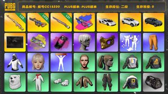 绝地求生（PUBG）编号CC15330 二段 1级彩虹M24 金面 渔夫帽 丸子头 小马尾 尼尔大礼包 烟雾弹 烟枪 10级爆裂弹球AUG 5级粉梦长眠德拉贡 NewJeans女团 兰博基尼 拉风龙套装 兰博大厅 白战神 小叮当套装 阿狸大礼包 品红色烟雾弹 黄色狂怒之雾 - M79 兰博SUV 兰博奢华SUV 兰博跑车 DANIELLE 9S...